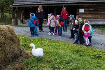 Za zvířátky na dědinu Za zvířátky na dědinu