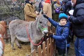 Muzeum v přírodě Zubrnice, Zubrnický masopust