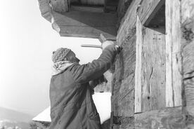 8_ Valašská dědina, mechování trámových spár, 1966 / The Wallachian Village, chinking the beams with moss, 1966