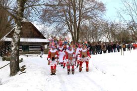 Muzeum v přírodě Vysočina, Masopust na Veselém Kopci