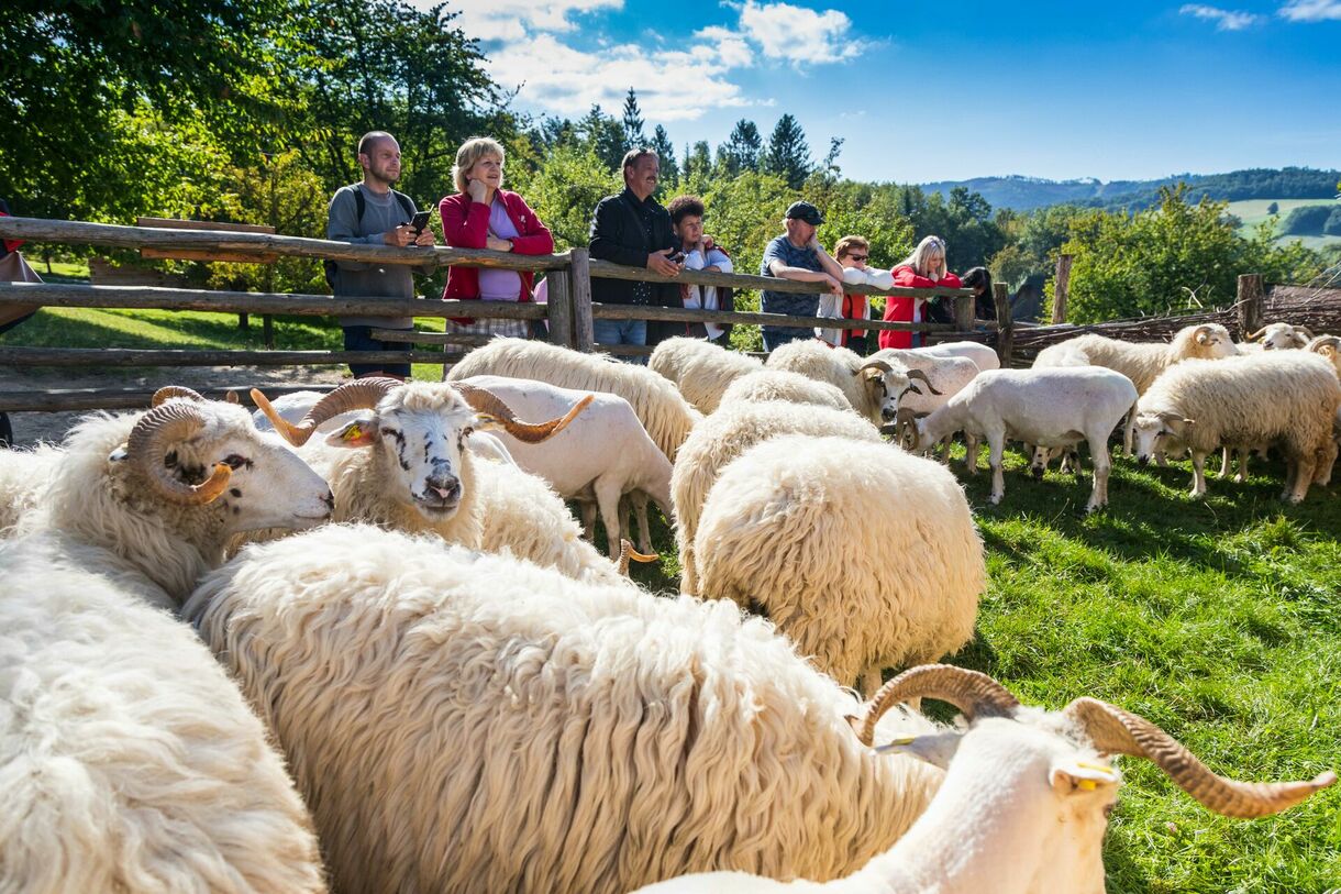 Podzim na poli a v chalupě
