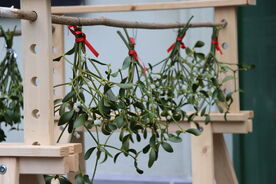 Muzeum v přírodě Zubrnice