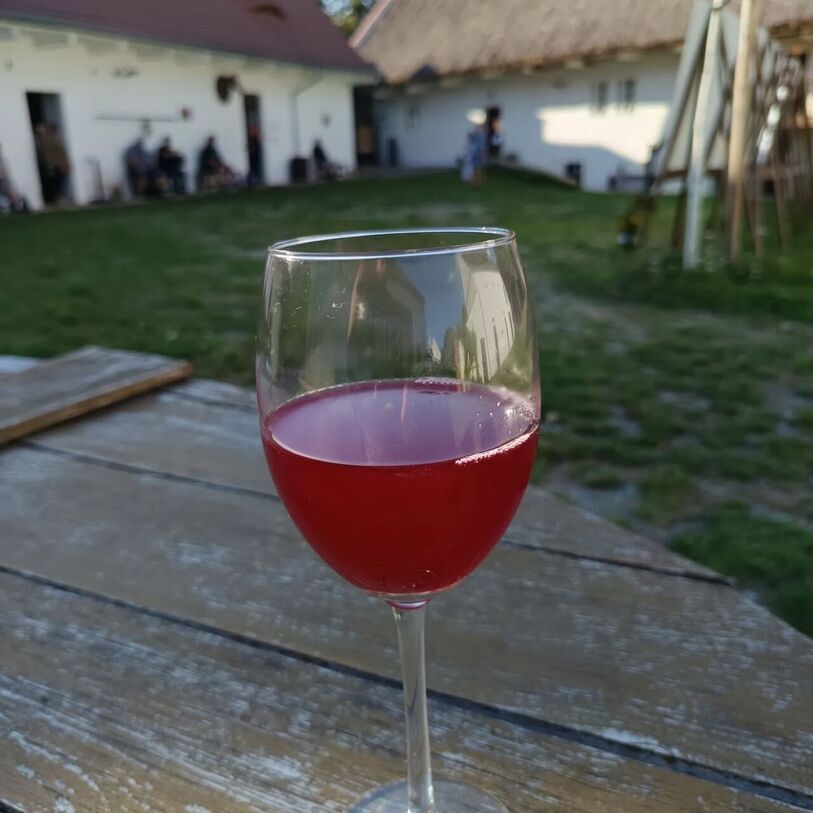 Bolevecké vinobraní