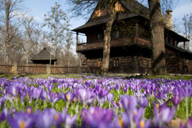Valašské muzeum v přírodě, Dřevěné městečko