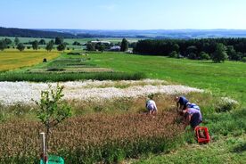 Z achivu Sdružení Krajina. Foto: Sdružení Krajina