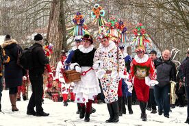 Muzeum v přírodě Vysočina, Masopust na Veselém Kopci