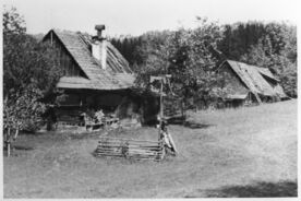 3_Usedlost vybraná k převozu do muzea, 1956 / The farmstead selected for transport to the museum, 1956