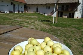 Muzeum v přírodě Plzeň-Bolevec, přednáškový cyklus Zahradníkův rok