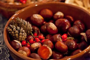 Podzimní prázdniny v muzeu 