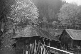 3_Pila ve Velkých Karlovicích s uloženým dřevem, 1972 / The sawmill in Velké Karlovice with stored timber, 1972