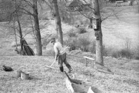 6. Svatý obrázek na stromě u přístupové cesty, 1979 / Holy image on a tree by a path, 1979