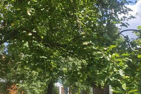 Muzeum v přírodě Plzeň-Bolevec, přednáškový cyklus Zahradníkův rok