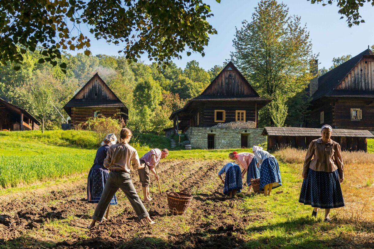 Podzim na poli a v chalupě