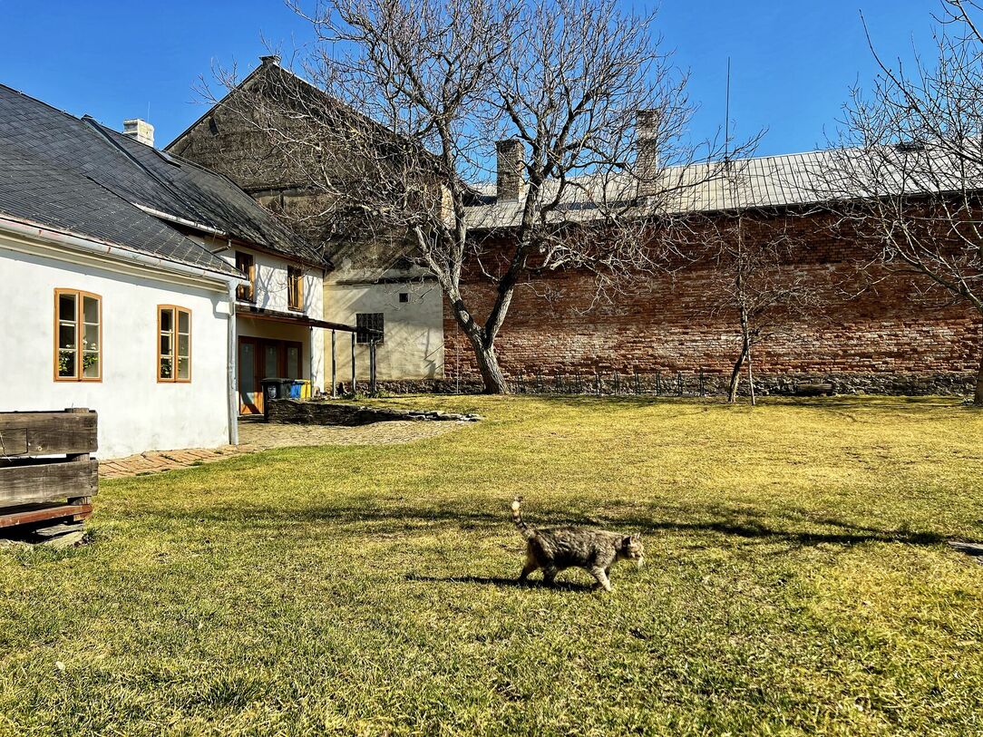 Muzeum zůstává otevřené i na podzim