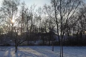 Zahradníkův rok-zimní řez2