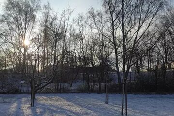 Zahradníkův rok - Zimní ořez ovocných stromů