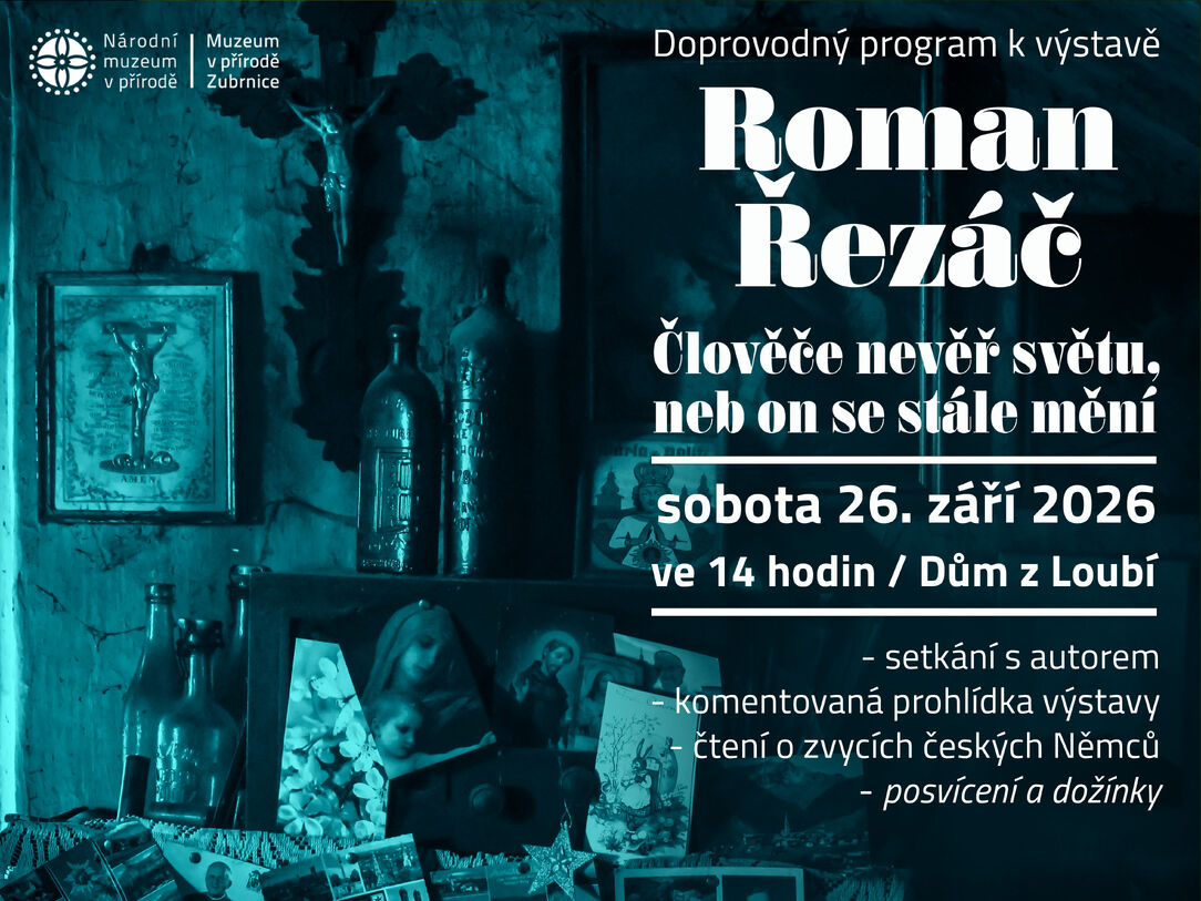 Komentovaná prohlídka výstavy Romana Řezáče