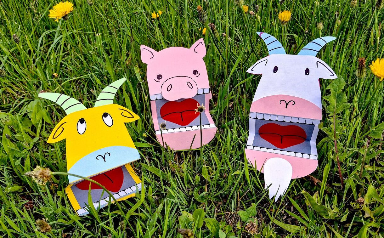 Hurá na pastvu!, 2026. Foto: Muzeum v přírodě Vysočina