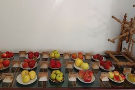 Muzeum v přírodě Plzeň-Bolevec, přednáškový cyklus Zahradníkův rok